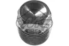 Oil drain plug 00675