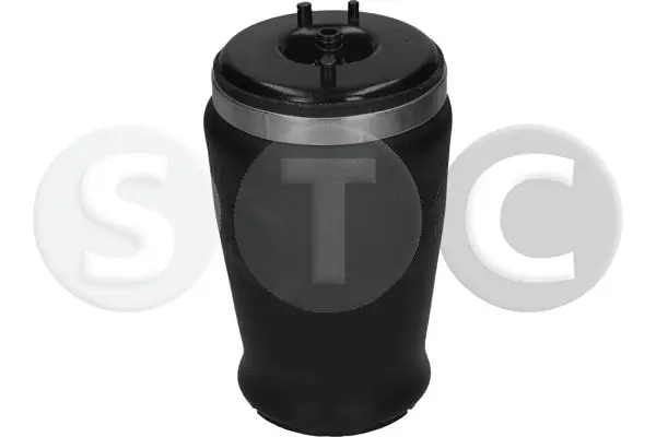             Pagalvė pakabos (Pneumatinė) T442968 gera kaina internetu
        