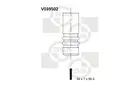 Intake valve V039502