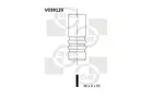 Intake valve V039123
