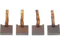 Carbon brushes BSX208-209