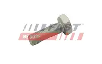 Brake disc bolt FT30601