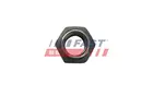 Wheel nut FT21516