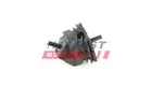 Fuel pump FT53047