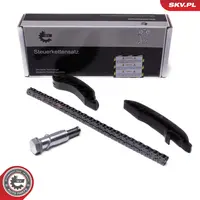 Variklio grandinės komplektas 21SKV249