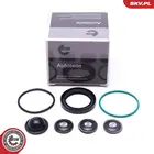 Fuel pump 96SKV933