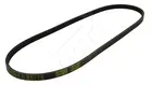 Power steering belt 368 836