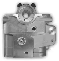 Galvutė CYW851