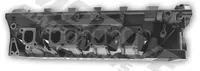 Galvutė CYW817