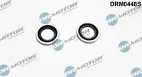 Turbine installation gasket DRM0448S