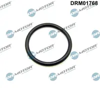 Tepalo įpylimo angos kamsčio tarpinė DRM01768