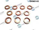 Oil drain plug gasket DRM0145
