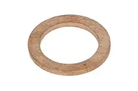 Nozzle gasket ENT250789