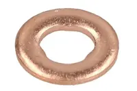 Nozzle gasket ENT250416/1