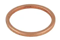 Nozzle gasket ENT250488/1