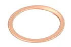 Nozzle gasket ENT250242/1