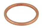 Nozzle gasket ENT250488/1