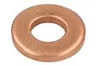 Nozzle gasket ENT250248/1