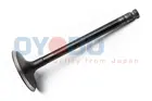 Intake valve 70M0311-OYO