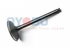 Intake valve 70M5013-TYO