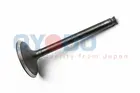 Intake valve 70M0513-OYO