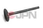 Intake valve 70M0313-JPN