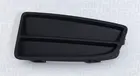 Lattice for front bumper 021316900680