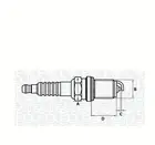 Ignition plug 062000775304